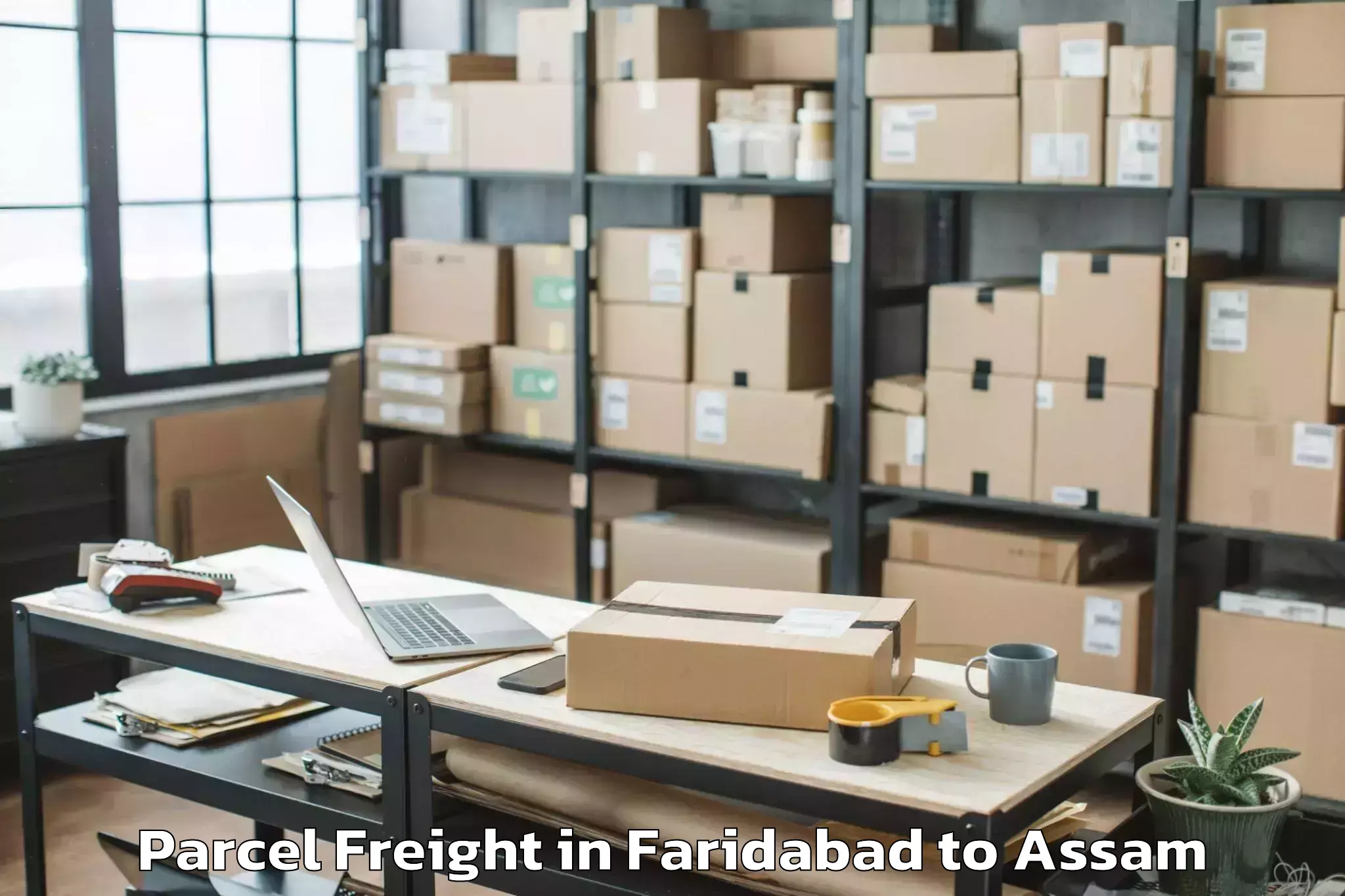 Book Your Faridabad to Dhing Town Parcel Freight Today